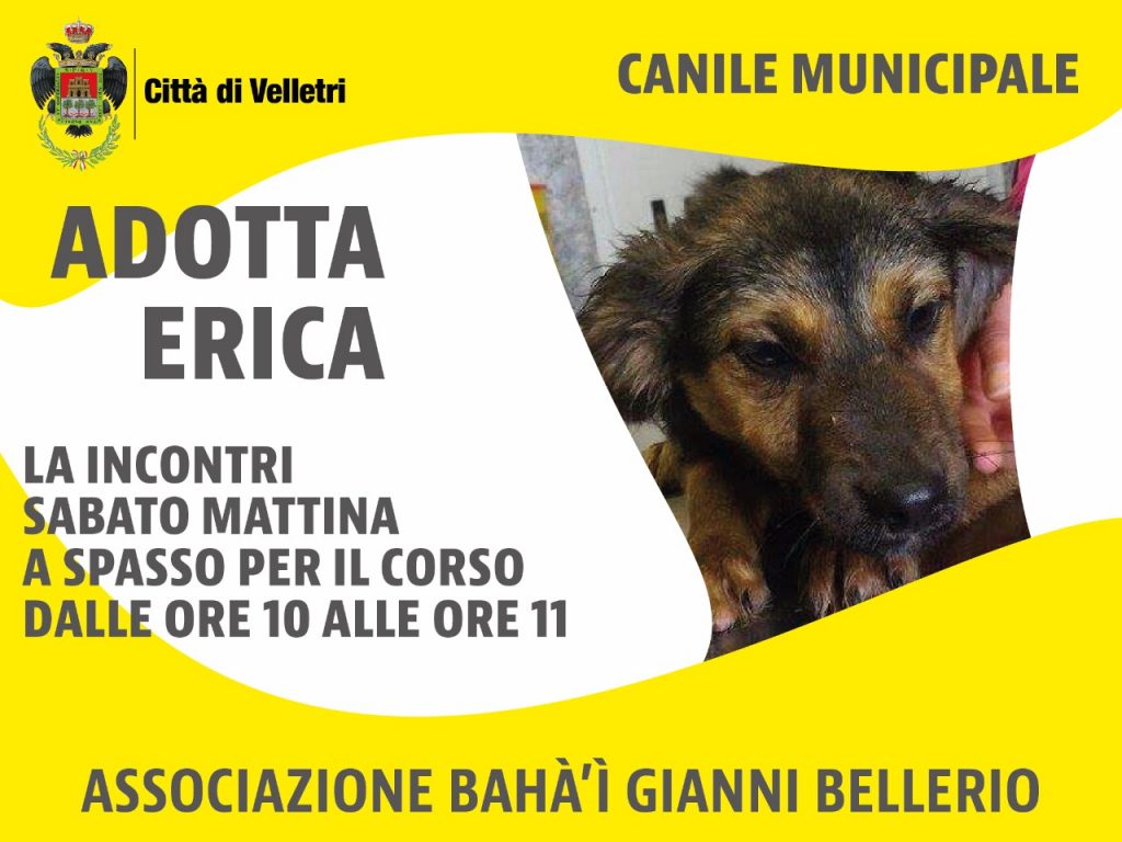 giovani gruppo