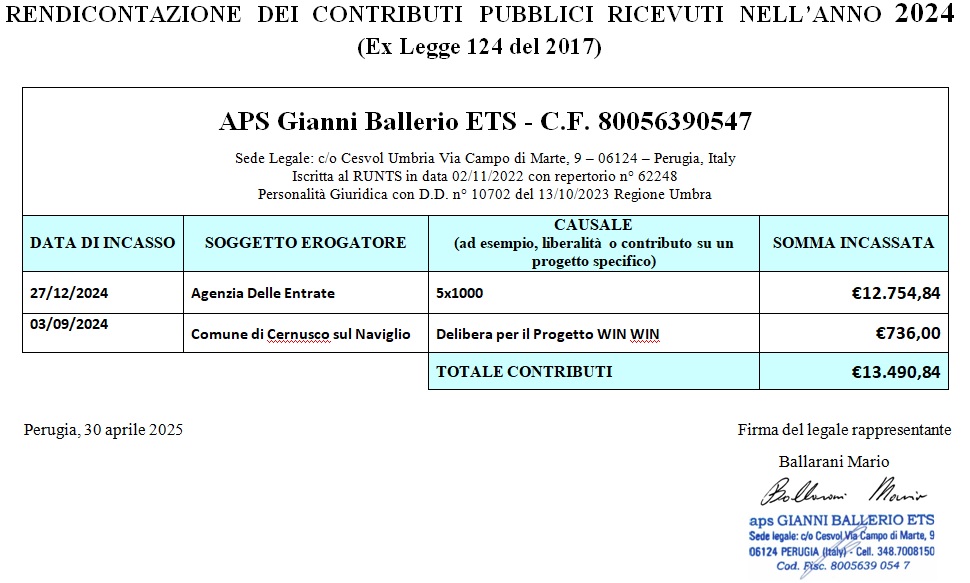 Rendicontazione dei contributi pubblici