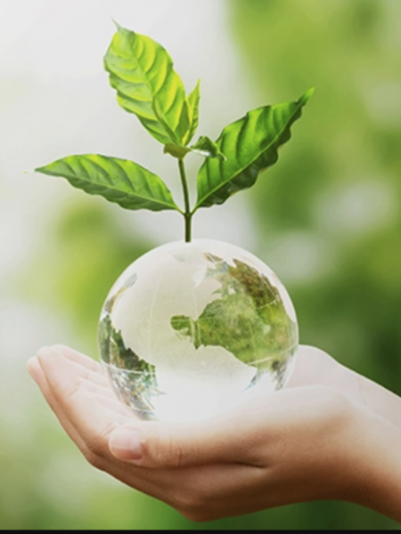 ambiente scienza etica